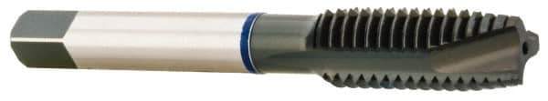 Accupro - #4-40, 2 Flute, Oxide Finish, Vanadium High Speed Steel Spiral Point Tap - Plug Chamfer, Right Hand Thread, 1-7/8" OAL, 11mm Thread Length, 3.581mm Shank Diam, 2B/3B Class of Fit - Exact Industrial Supply