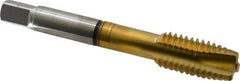 Guhring - 1/2-13 UNC, 3 Flute, TiN Finish, Cobalt Spiral Point Tap - Plug Chamfer, Right Hand Thread, 3.381" OAL, 0.866" Thread Length, 0.367" Shank Diam, 2B Class of Fit, Series 3928 - Exact Industrial Supply