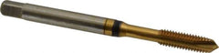 Guhring - #10-32 UNF, 3 Flute, TiN Finish, Cobalt Spiral Point Tap - Plug Chamfer, Right Hand Thread, 2.382" OAL, 0.551" Thread Length, 0.194" Shank Diam, 2B Class of Fit, Series 3929 - Exact Industrial Supply