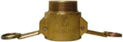 EVER-TITE Coupling Products - 2-1/2" Brass Cam & Groove Suction & Discharge Hose Female Coupler Male NPT Thread - Part B, 2-1/2" Thread, 250 Max psi - Industrial Tool & Supply