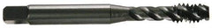 OSG - #10-24 UNC 3 Flute 2B/3B Modified Bottoming Spiral Flute Tap - Vanadium High Speed Steel, TiCN Finish, 2-3/8" OAL, Right Hand Flute, Right Hand Thread, H3, Series 290 - Exact Industrial Supply