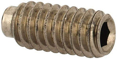 Value Collection - #8-32 UNC, 3/8" OAL, Half Dog Point Set Screw - Grade Austenitic A2 Stainless Steel, 5/64" Key - Industrial Tool & Supply