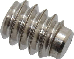 Value Collection - #10-24 UNC, 1/4" OAL, Half Dog Point Set Screw - Grade Austenitic A2 Stainless Steel, 3/32" Key - Industrial Tool & Supply