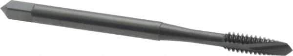 OSG - #6-32 UNC, 2 Flute, Oxide Finish, High Speed Steel Spiral Point Tap - Plug Chamfer, Right Hand Thread, 2" OAL, 11/16" Thread Length, 0.141" Shank Diam, Series 105 - Exact Industrial Supply