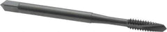 OSG - #6-32 UNC, 2 Flute, Oxide Finish, High Speed Steel Spiral Point Tap - Plug Chamfer, Right Hand Thread, 2" OAL, 11/16" Thread Length, 0.141" Shank Diam, Series 105 - Exact Industrial Supply