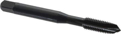 OSG - 1/4-28 UNF, 3 Flute, Oxide Finish, Vanadium High Speed Steel Spiral Point Tap - Plug Chamfer, Right Hand Thread, 2-1/2" OAL, 1" Thread Length, 0.255" Shank Diam, Series 300 - Exact Industrial Supply