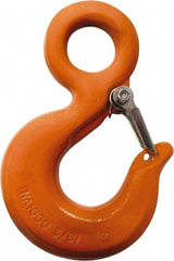 CM - Chain Grade 100, 22,600 Lbs. Load Limit Eye Rigging Hook with Latch - 1.78 Inch Hook Throat, 7.31 Inch Reach, 2 Inch Eye Inside Diameter, 5/8 Inch Chain Diameter, 10.07 Inch Overall Length, 0.94 Inch Eye Thickness - Industrial Tool & Supply