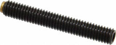 J.W. Winco - M6x1.00 Metric Coarse, 40mm Length of Thread, Soft Tip Point Set Screw - Grade 5.8 Steel, 3mm Key - Industrial Tool & Supply