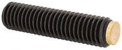 J.W. Winco - M8x1.25 Metric Coarse, 32mm Length of Thread, Soft Tip Point Set Screw - Grade 5.8 Steel, 4mm Key - Industrial Tool & Supply