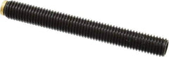 J.W. Winco - M12x1.75 Metric Coarse, 100mm Length of Thread, Soft Tip Point Set Screw - Grade 5.8 Steel, 6mm Key - Industrial Tool & Supply