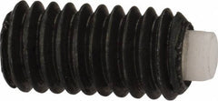 J.W. Winco - M4x0.70 Metric Coarse, 8mm Length of Thread, Soft Tip Point Set Screw - Grade 5.8 Steel, 2mm Key - Industrial Tool & Supply