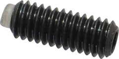 J.W. Winco - M4x0.70 Metric Coarse, 10mm Length of Thread, Soft Tip Point Set Screw - Grade 5.8 Steel, 2mm Key - Industrial Tool & Supply