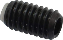 J.W. Winco - M6x1.00 Metric Coarse, 10mm Length of Thread, Soft Tip Point Set Screw - Grade 5.8 Steel, 3mm Key - Industrial Tool & Supply