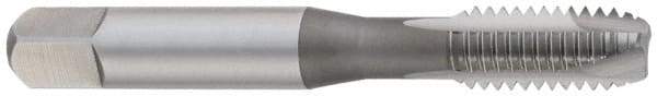 OSG - #4-36 UNF, 2 Flute, Oxide Finish, High Speed Steel Spiral Point Tap - Plug Chamfer, Right Hand Thread, 1-7/8" OAL, 9/16" Thread Length, 0.141" Shank Diam, Series 105 - Exact Industrial Supply