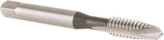 OSG - 1/4-20 UNC, 2 Flute, Bright Finish, High Speed Steel Spiral Point Tap - Plug Chamfer, Right Hand Thread, 2-1/2" OAL, 1" Thread Length, 0.255" Shank Diam, 3B Class of Fit, Series 105 - Exact Industrial Supply