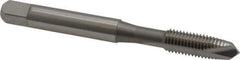 OSG - 1/4-28 UNF, 2 Flute, Bright Finish, High Speed Steel Spiral Point Tap - Plug Chamfer, Right Hand Thread, 2-1/2" OAL, 1" Thread Length, 0.255" Shank Diam, 2B Class of Fit, Series 105 - Exact Industrial Supply