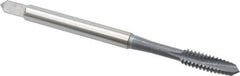 OSG - #6-32 UNC, 2 Flute, elektraLUBE Finish, High Speed Steel Spiral Point Tap - Plug Chamfer, Right Hand Thread, 2" OAL, 11/16" Thread Length, Series 105 - Exact Industrial Supply