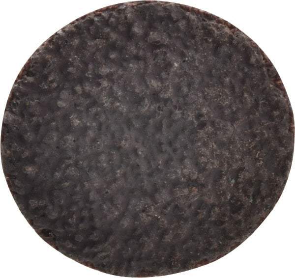Tru-Maxx - 1" Disc Diam, 36 Grit, Aluminum Oxide Quick Change Disc - Type R Attaching System, Coated, Brown, Very Coarse Grade, 30,000 RPM - Industrial Tool & Supply