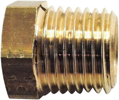 Legris - 1/2 Male Thread x 1/8 Female Thread, Brass Industrial Pipe Hex Bushing - MBSPT x FBSPP, 3,626 psi - Industrial Tool & Supply