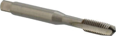 DORMER - M6x1.00 Metric Coarse 6H 3 Flute Bright Finish High Speed Steel Straight Flute Machine Tap - Plug, Right Hand Thread, 66mm OAL, 13mm Thread Length, Oversize - Exact Industrial Supply