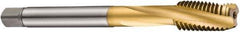 DORMER - M30x3.50 Metric Coarse 4 Flute 6H Bottoming Spiral Flute Tap - Cobalt, TiN Finish, 180mm OAL, Right Hand Flute, Right Hand Thread, Series E263 - Industrial Tool & Supply