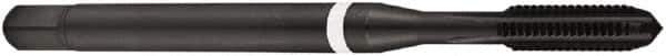 DORMER - M6x1.00 Metric Coarse 6HX 4 Flute Nitride Finish Powdered Metal Straight Flute Machine Tap - Bottoming, Right Hand Thread, 80mm OAL, 15mm Thread Length, Oversize - Exact Industrial Supply