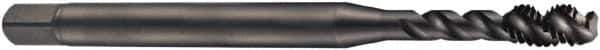 DORMER - 1-11" BSPP, 4 Flutes, Bottoming Chamfer, Oxide Coated, Cobalt British Standard Pipe Tap - Series EX41 - Exact Industrial Supply