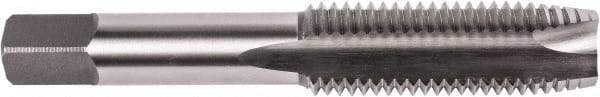 Union Butterfield - M3x0.50 Metric Coarse, 2 Flute, Bright Finish, High Speed Steel Spiral Point Tap - Plug Chamfer, Right Hand Thread, 1-15/16" OAL, 5/8" Thread Length, 0.141" Shank Diam, 6H Class of Fit, Series 1785NR - Exact Industrial Supply