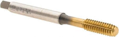 Union Butterfield - 1/4-20 UNC 2B Modified Bottoming Thread Forming Tap - Powdered Metal High Speed Steel, TiN Finish, 3.15" OAL, 0.669" Thread Length, Right Hand Thread, Series 1681AP - Exact Industrial Supply