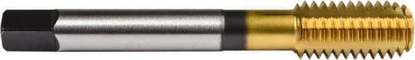 Union Butterfield - #6-32 UNC 2B/3B H3 Thread Limit Bottoming Thread Forming Tap - Powdered Metal High Speed Steel, TiN Finish, 2" OAL, 3/8" Thread Length, Right Hand Thread, Series 1641 - Exact Industrial Supply