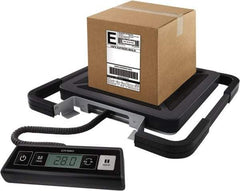 Dymo - 15" Base, 100 Lb Capacity, Digital Scale - 0.2 Lb Graduation, USB, 120 Volt Adapter or (3) AAA Batteries - Industrial Tool & Supply