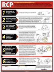 ComplyRight - Regulatory Compliance General Safety & Accident Prevention Training Kit - Spanish, 18" Wide x 24" High - Industrial Tool & Supply