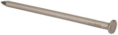 Made in USA - 20D, 6 Gauge, 4" OAL Common Nails - Smooth Shank, T304 Stainless Steel - Industrial Tool & Supply