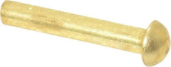 Made in USA - 1/8" Body Diam, Round Brass Solid Rivet - 3/4" Length Under Head - Industrial Tool & Supply