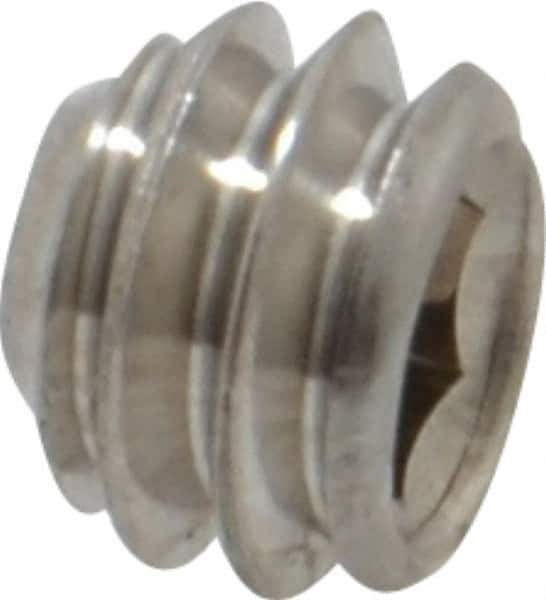 Value Collection - 1/4-20 UNC, 3/16" OAL, Cup Point Set Screw - Grade 18-8 Stainless Steel, 1/8" Key - Industrial Tool & Supply