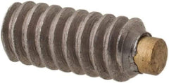 Made in USA - #4-40 UNC, 1/4" Length of Thread, Soft Tip Point Set Screw - Grade 18-8 Stainless Steel - Industrial Tool & Supply