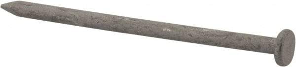 Value Collection - 8D, 10 Gauge, 2-1/2" OAL Common Nails - Ring Shank, Grade 2 Steel, Galvanized Finish - Industrial Tool & Supply
