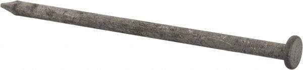 Value Collection - 16D, 8 Gauge, 3-1/2" OAL Common Nails - Ring Shank, Grade 2 Steel, Galvanized Finish - Industrial Tool & Supply
