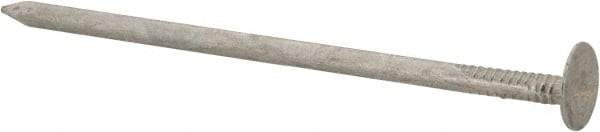 Value Collection - 11 Gauge, 3" OAL Roofing Nails - Ring Shank, Grade 2 Steel, Galvanized Finish - Industrial Tool & Supply