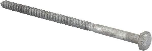 Value Collection - 1/4" Screw, 5" Length Under Head, Steel, Hex Head Lag Screw - Hot Dipped Galvanized, AISI 1006, ASME B18.2.1 Fastner, Grade 1006-1022 - Industrial Tool & Supply