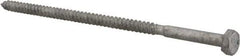 Value Collection - 1/4" Screw, 6" Length Under Head, Steel, Hex Head Lag Screw - Hot Dipped Galvanized, AISI 1006, ASME B18.2.1 Fastner, Grade 1006-1022 - Industrial Tool & Supply