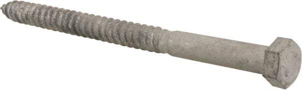 Value Collection - 1/2" Screw, 7" Length Under Head, Steel, Hex Head Lag Screw - Hot Dipped Galvanized, AISI 1006, ASME B18.2.1 Fastner, Grade 1006-1022 - Industrial Tool & Supply