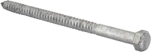 Value Collection - 1/2" Screw, 8" Length Under Head, Steel, Hex Head Lag Screw - Hot Dipped Galvanized, AISI 1006, ASME B18.2.1 Fastner, Grade 1006-1022 - Industrial Tool & Supply