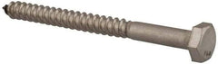 Value Collection - 1/4" Screw, 3" Length Under Head, Stainless Steel, Hex Head Lag Screw - Grade 18-8, Uncoated - Industrial Tool & Supply