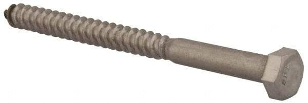 Value Collection - 5/16" Screw, 4" Length Under Head, Stainless Steel, Hex Head Lag Screw - Grade 18-8, Uncoated - Industrial Tool & Supply