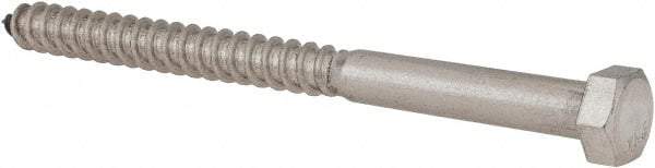 Value Collection - 3/8" Screw, 5" Length Under Head, Stainless Steel, Hex Head Lag Screw - Grade 18-8, Uncoated - Industrial Tool & Supply