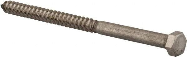 Value Collection - 3/8" Screw, 6" Length Under Head, Stainless Steel, Hex Head Lag Screw - Grade 18-8, Uncoated - Industrial Tool & Supply