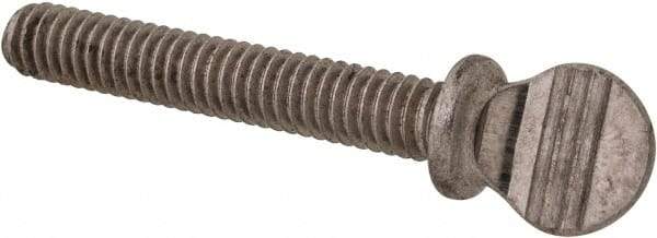 Value Collection - #8-32 Oval Shoulder Grade 18-8 Stainless Steel Thumb Screw - 1" OAL, 0.38" Head Height - Industrial Tool & Supply