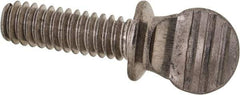 Value Collection - #10-24 Oval Shoulder Grade 18-8 Stainless Steel Thumb Screw - 3/4" OAL, 0.48" Head Height - Industrial Tool & Supply