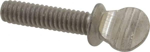 Value Collection - 1/4-20 Oval Shoulder Grade 18-8 Stainless Steel Thumb Screw - 1" OAL, 0.64" Head Height - Industrial Tool & Supply